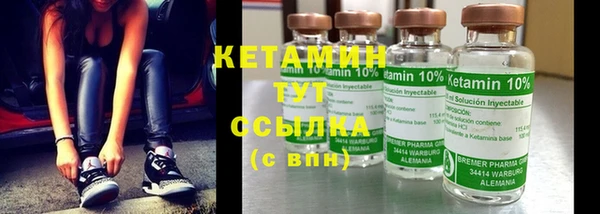 гашик Дмитриев