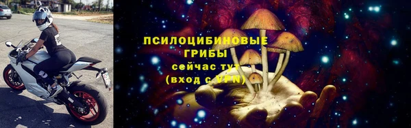 мдпв Дмитров