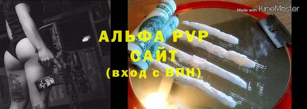 гашик Дмитриев