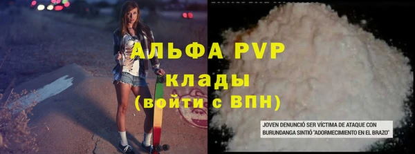 гашик Дмитриев