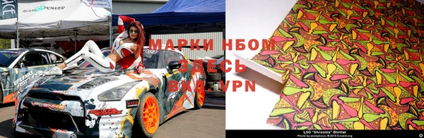 гашик Дмитриев