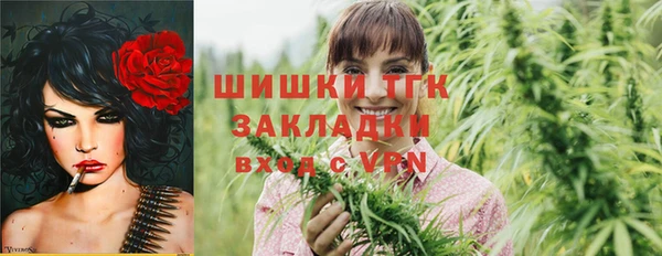 мдпв Дмитров
