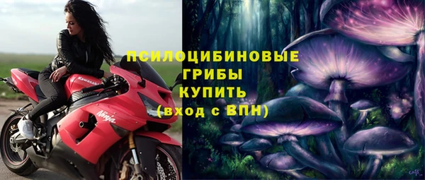 гашик Дмитриев