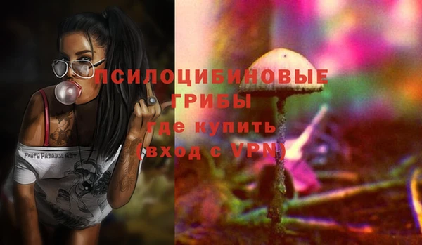 мдпв Дмитров