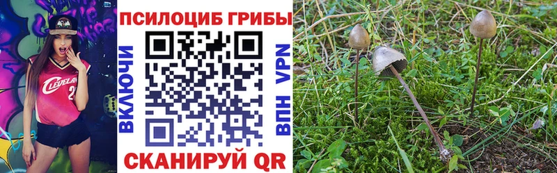 Галлюциногенные грибы Psilocybe что такое Рошаль